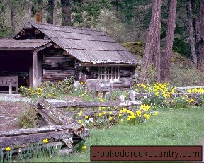 Rustic Log Cabin Decor - Primitive Woodland Decor.